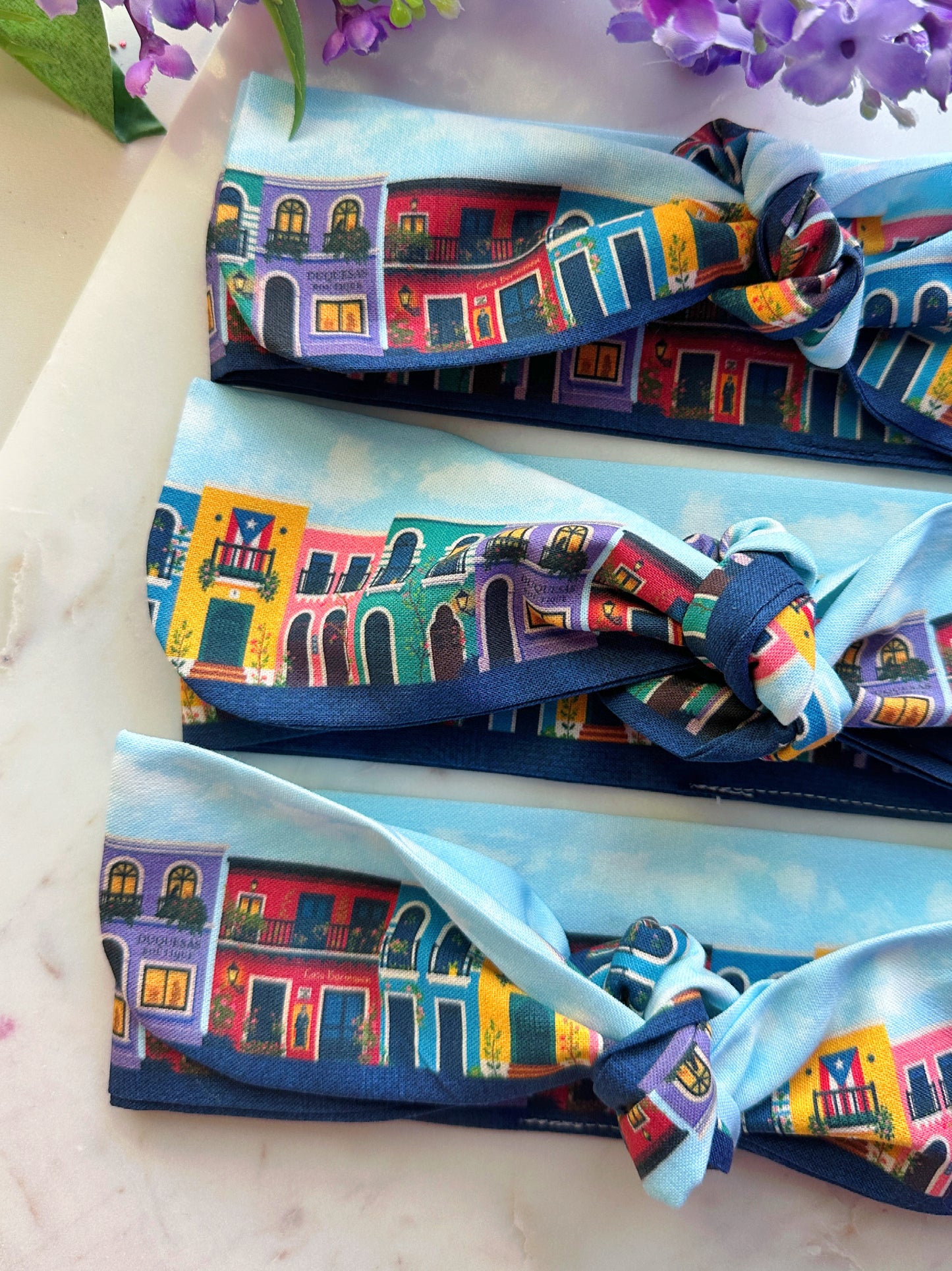 Voy Subiendo, Voy Bajando Bandana